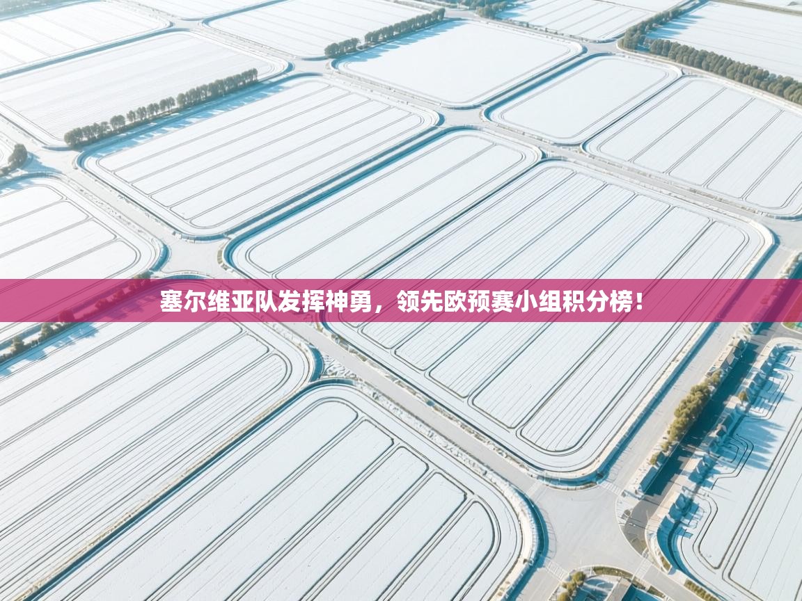 塞尔维亚队发挥神勇,领先欧预赛小组积分榜! 第2张