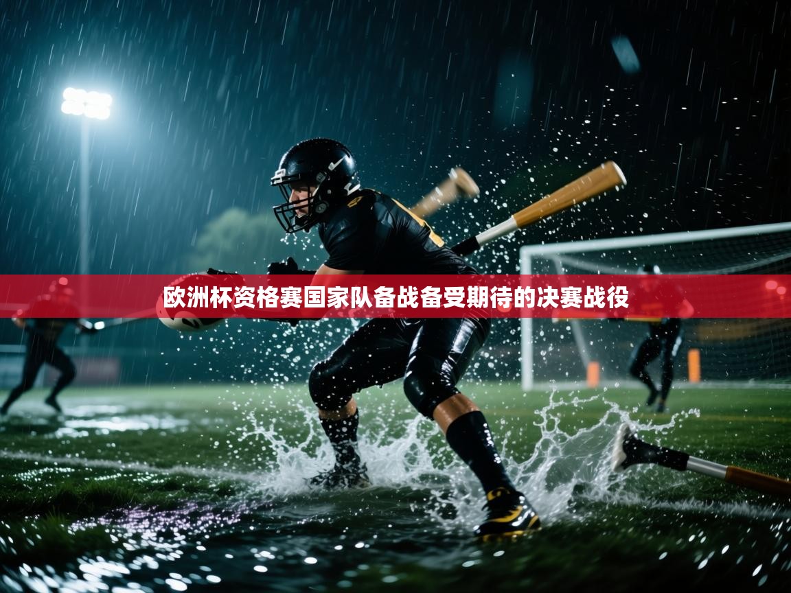 欧洲杯资格赛国家队备战备受期待的决赛战役  第1张