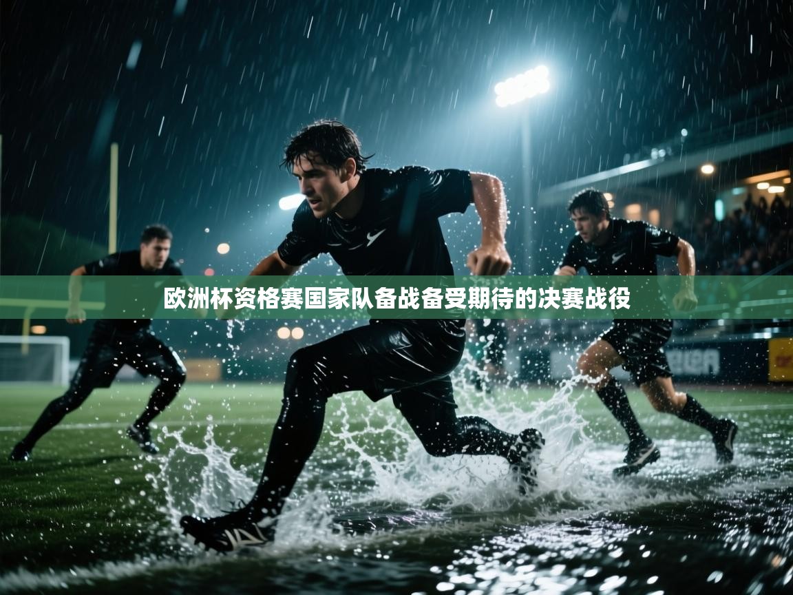 欧洲杯资格赛国家队备战备受期待的决赛战役  第2张